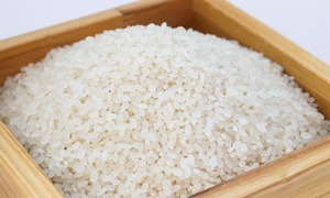 Ryż wołowy – kolejny krok ku żywności przyszłości