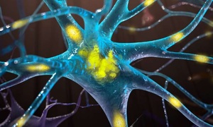 Postęp w badaniach nad chorobami neurodegeneracyjnymi – kluczowa rola złożonych modeli komó
