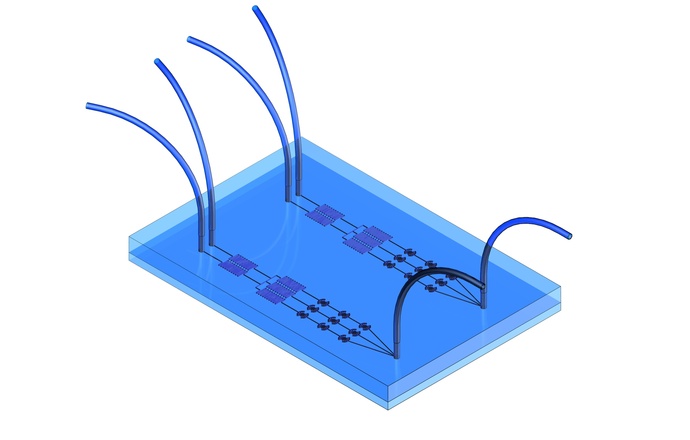 O mikrosystemie Lab-on-a-chip rozmawiamy z dr inż. Elżbietą Jastrzębską, laureatką IV edycj