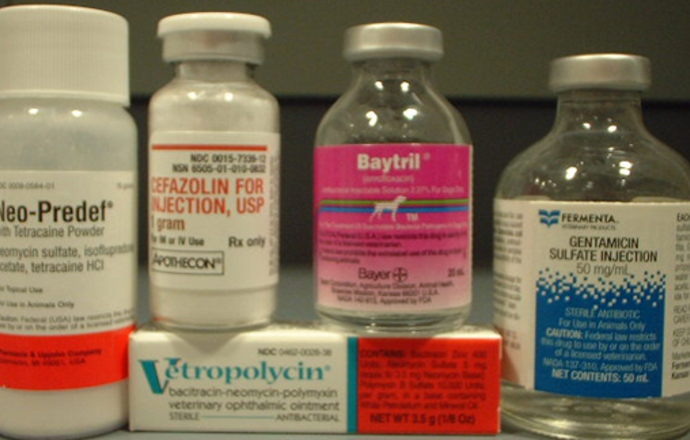 Raport CDC ostrzega przed przyszłością bez antybiotyków