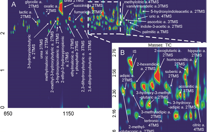 Metabolomika – techniki i zastosowania