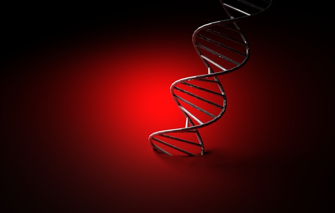 Do otrzymania zdrowego potomstwa wystarczą fragmenty chromosomu Y