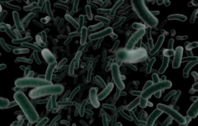 Pyridomycyna – naturalny antybiotyk w leczeniu gruźlicy