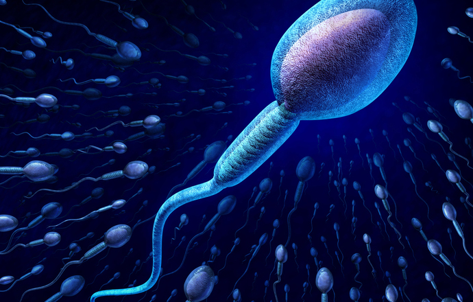 Bio-robo-plemniki nowym kierunkiem badań biologów syntetycznych