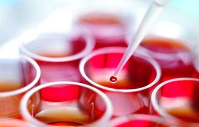 Hodowle komórkowe w warunkach in vitro – media hodowlane