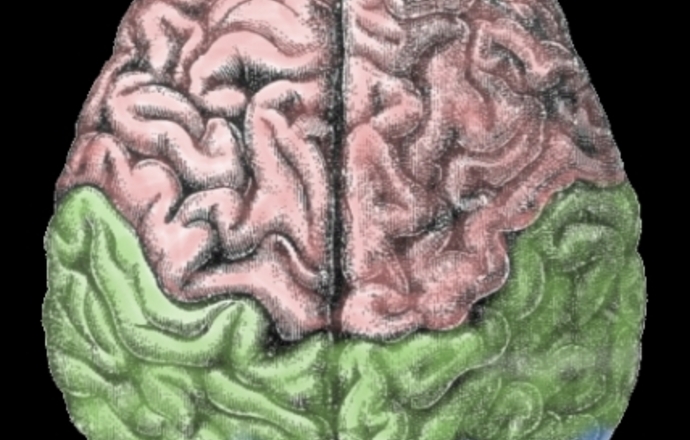 Neuroprotekcyjna konwertaza angiotensyny 