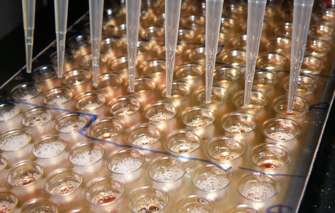 Polskie kroki w stronę europejskich standardów biobankowania