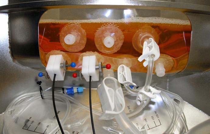 Mabion pionierem w wykorzystaniu bioreaktorów opartych o technologię jednorazową