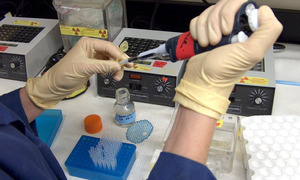 Ebola w pigułce