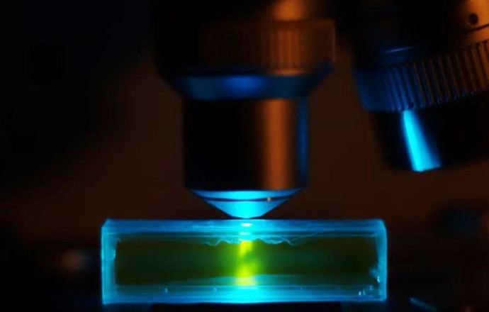 Usprawniony Western-Blot?