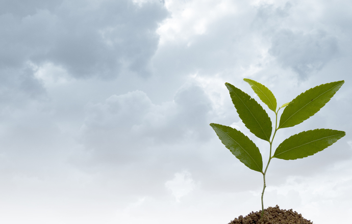 Be green, think green – czyli słowo o biodegradowaniu