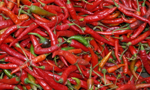 Chili Cię uzdrowi